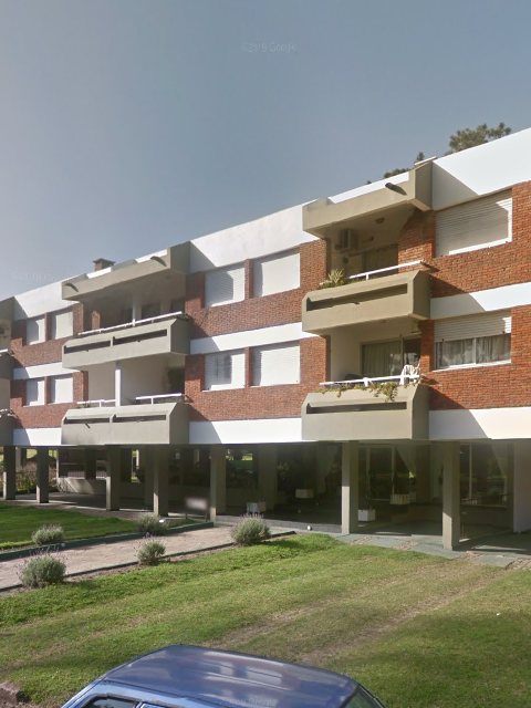 Facade of Complex Green Leaves — Playa Mansa, Punta del Este