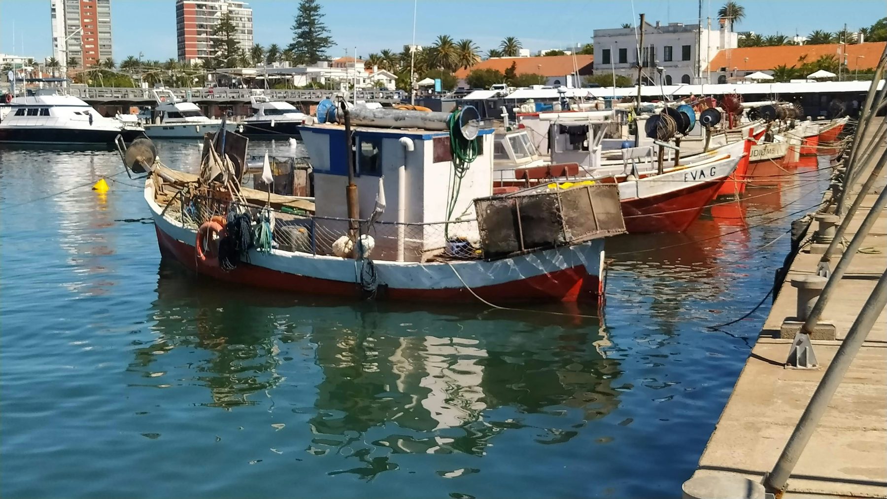Barcos pesqueros amarrados en el puerto de Punta del Este en un día de sol