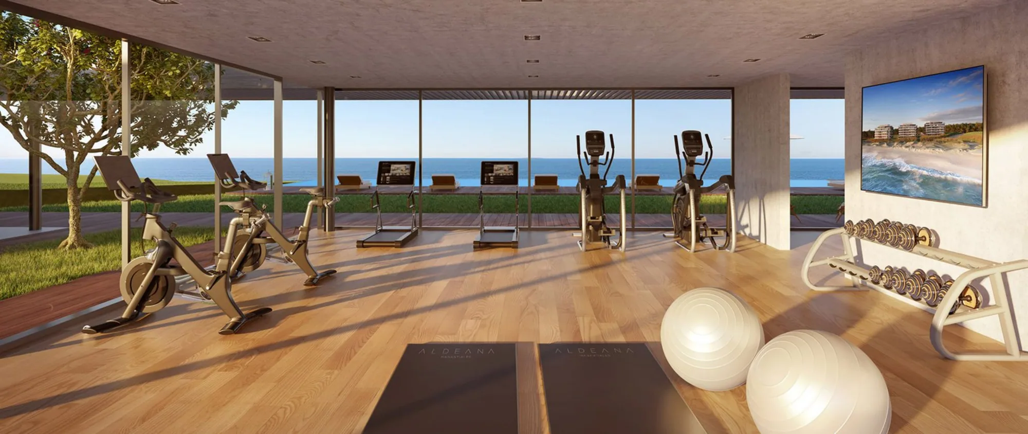 Aldeana Manantiales gym