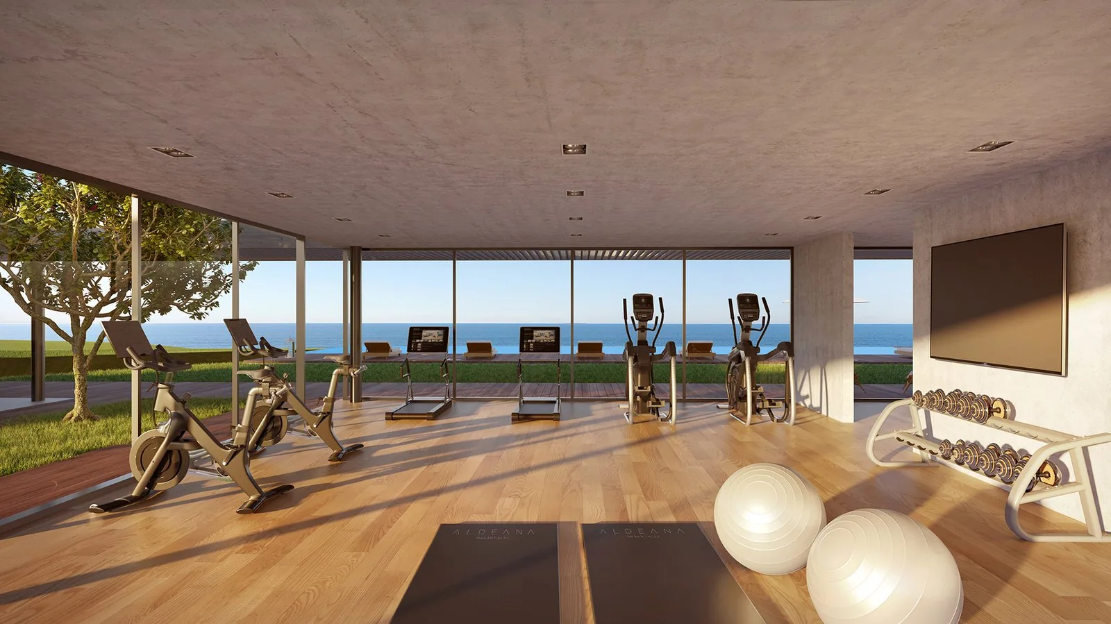 Aldeana Manantiales training room