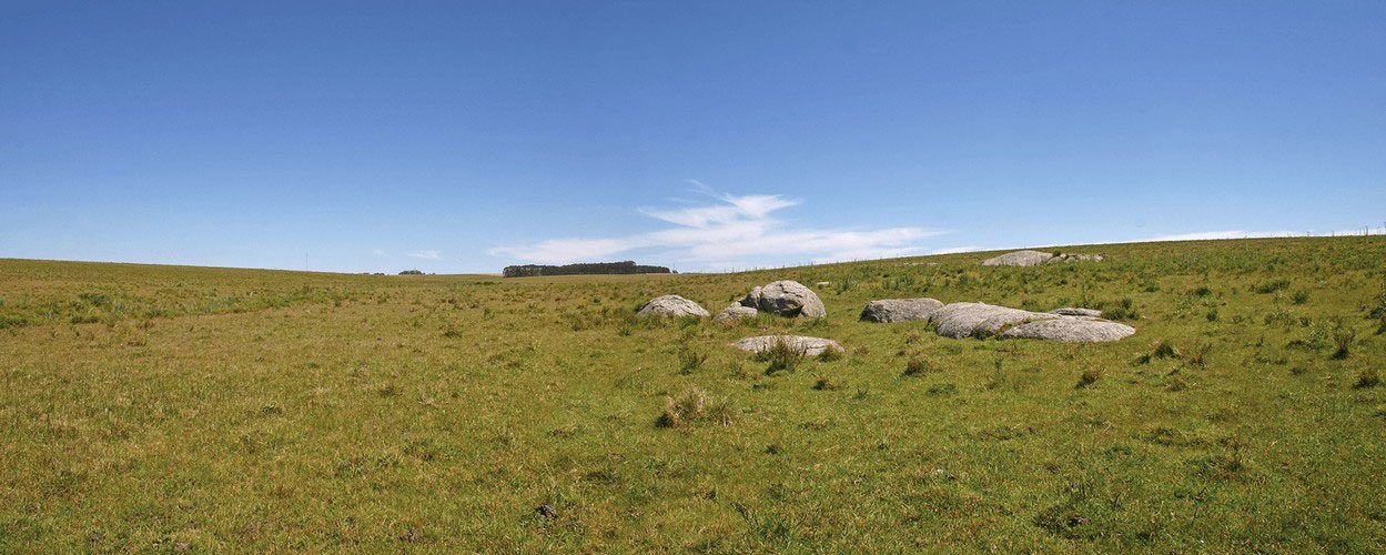 Campo de lomadas con piedras y monte al fondo: el terreno de las chacras