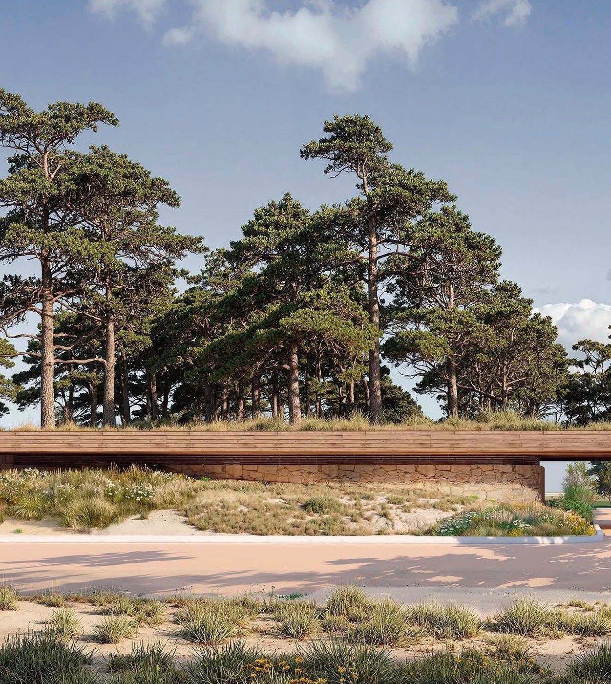 Astra — Punta Ballena, imagen 7