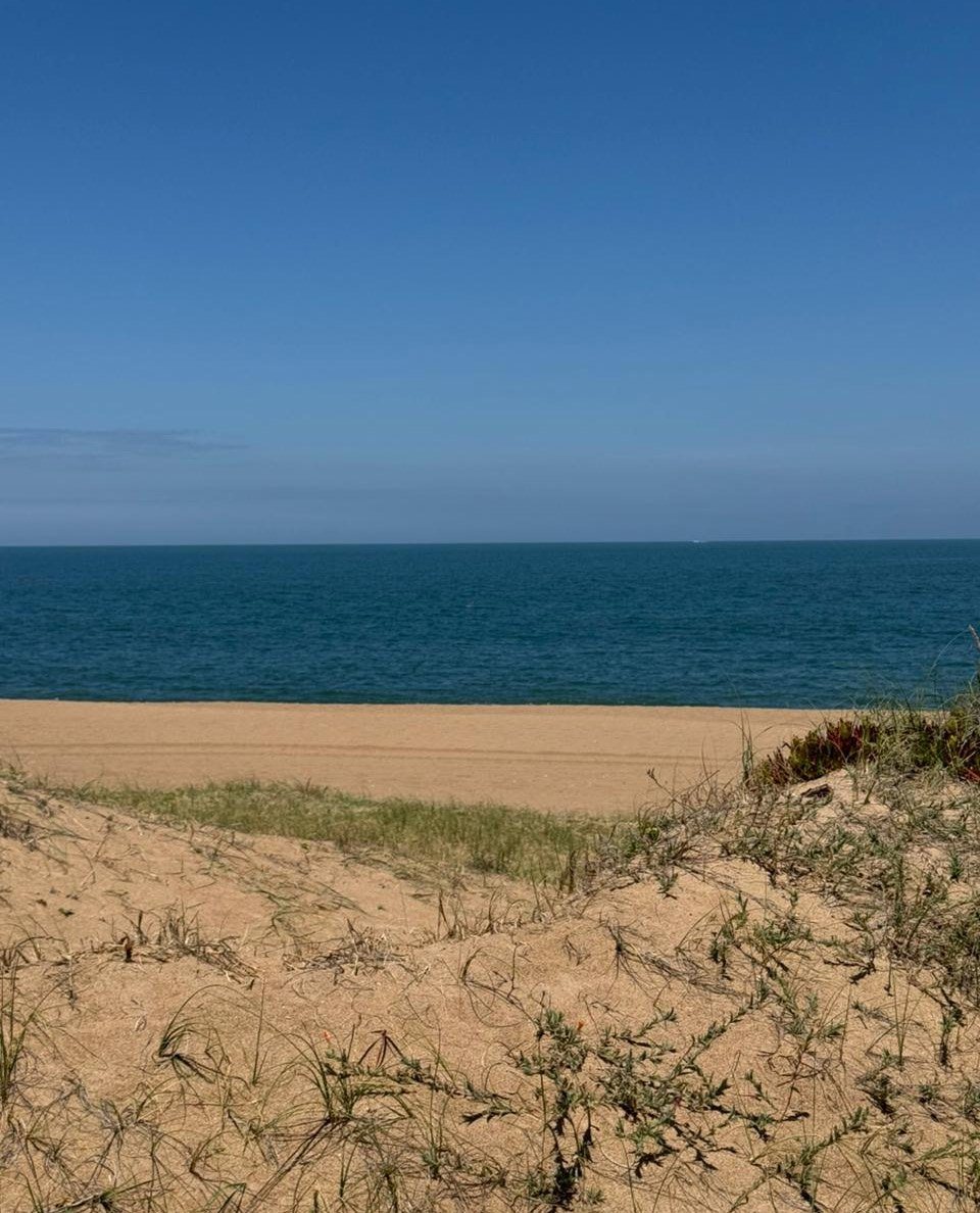 Dune belt and beach at Astra