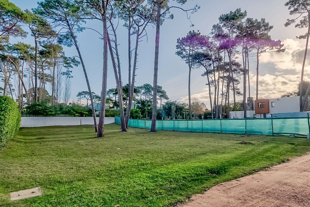 Lote sin construir con malla de obra entre los árboles