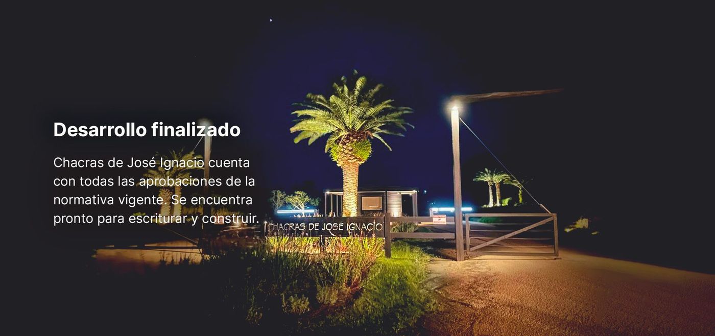 Portería de noche con una palmera iluminada