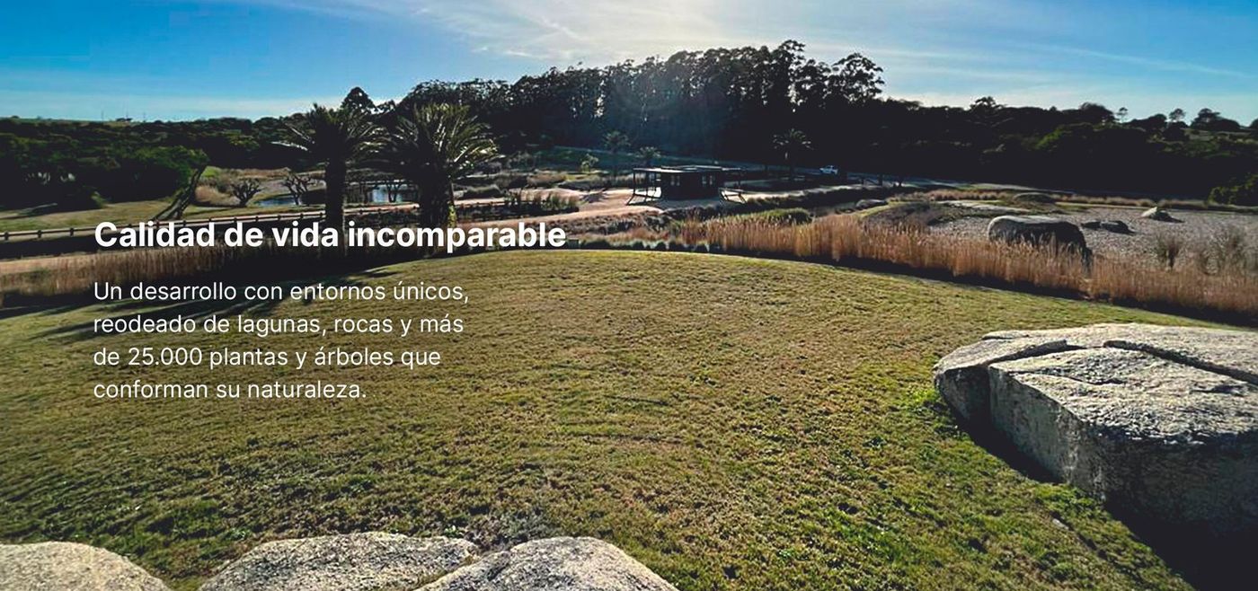 Pradera con palmeras a contraluz