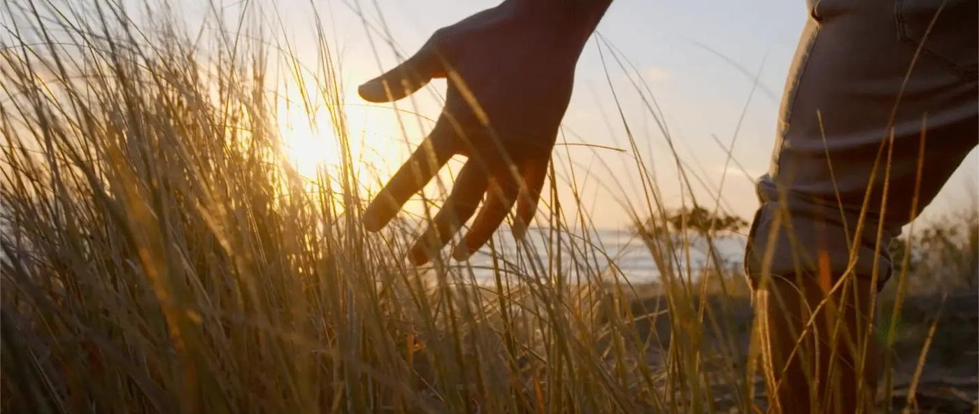 Costa Garzón — José Ignacio, imagen 4