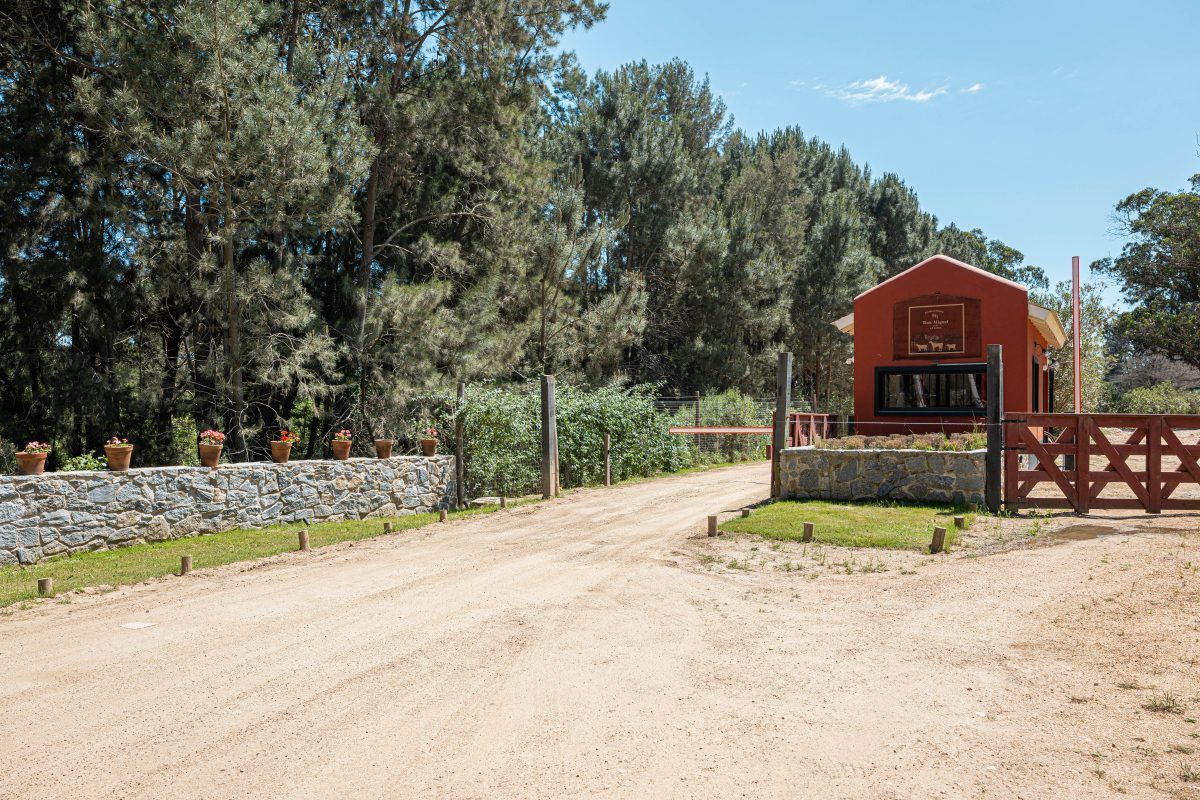 Don Miguel — La Barra, imagen 6