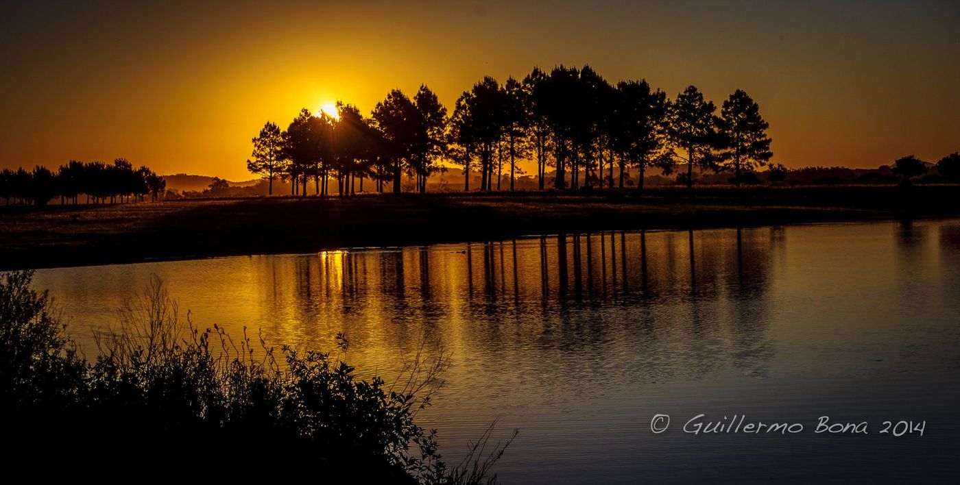 Laguna espejada con pinos al atardecer