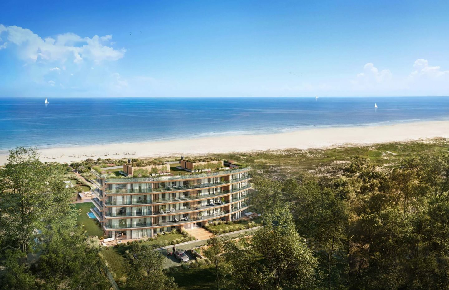 Essentia — imagen 3