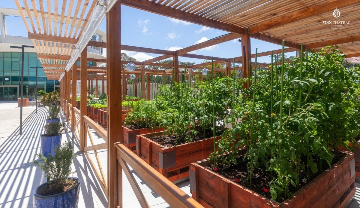 Huerta y jardines en las terrazas de Fendi Château Residences