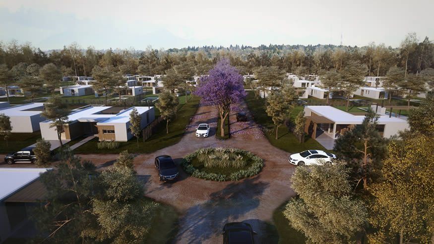 Render aéreo de las calles del barrio, con jacarandás y casas