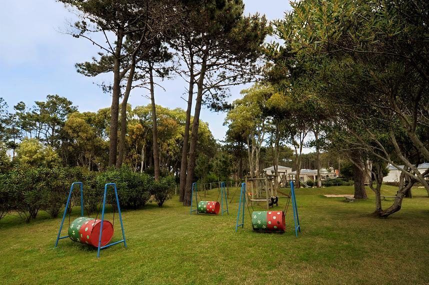 Sector de juegos infantiles entre los pinos