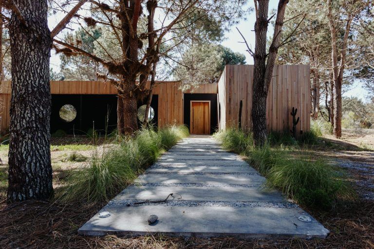 Casa de madera entre pinos, con sendero de hormigón