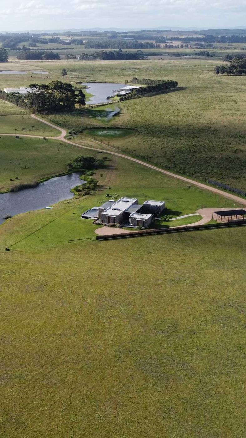 Vertical de dron de una casa construida junto al lago, entre los campos