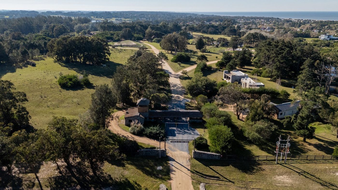 Mangrullos — emprendimiento en Punta del Este