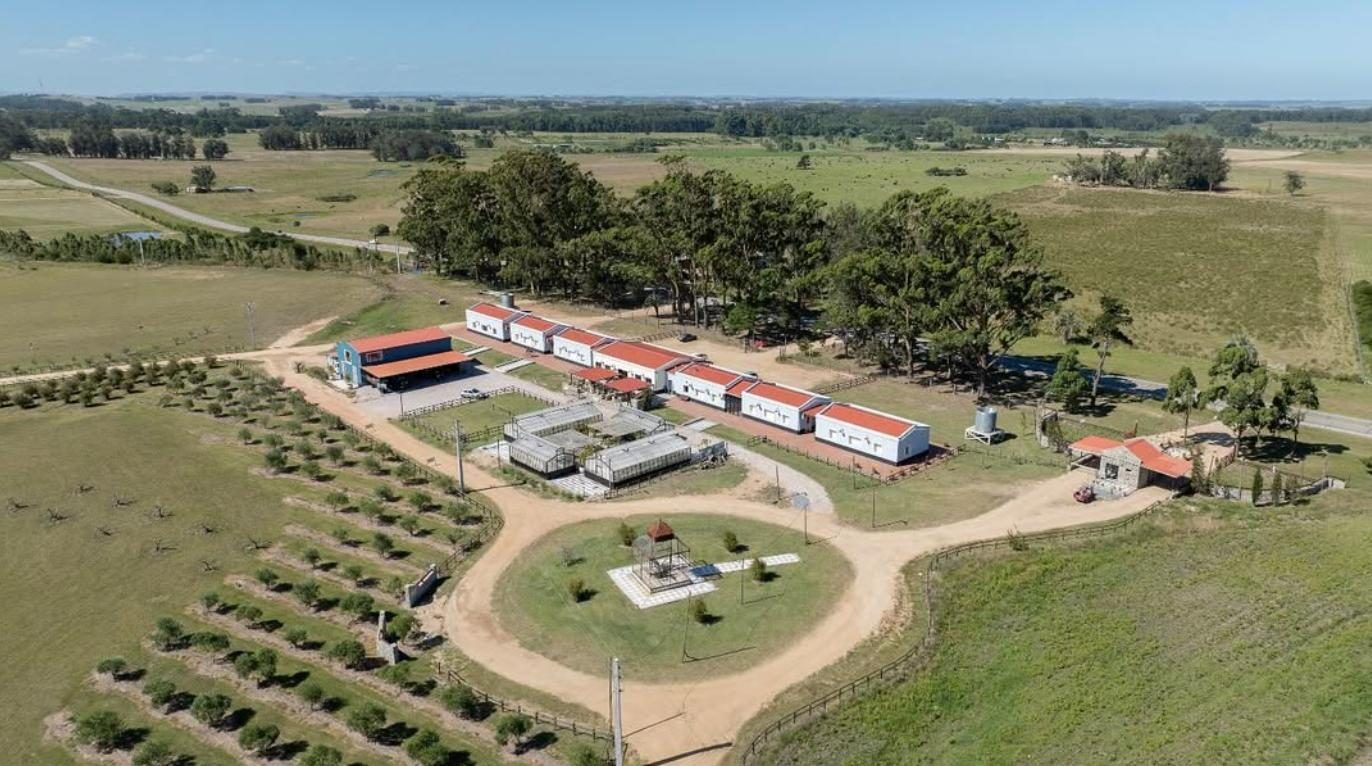Narbona La Plantación — emprendimiento en Punta del Este