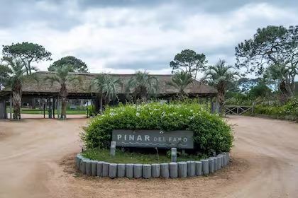 Pinar del Faro — emprendimiento en Punta del Este