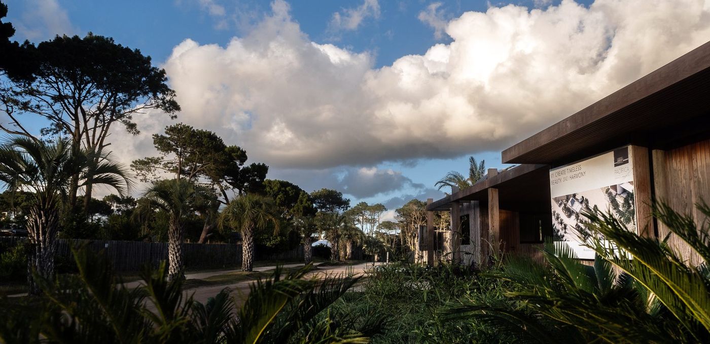 Playa Brava de José Ignacio (Médanos y Pinos) — emprendimiento en Punta del Este