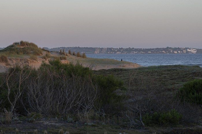 Dunas y monte costero al atardecer, con Punta del Este al fondo