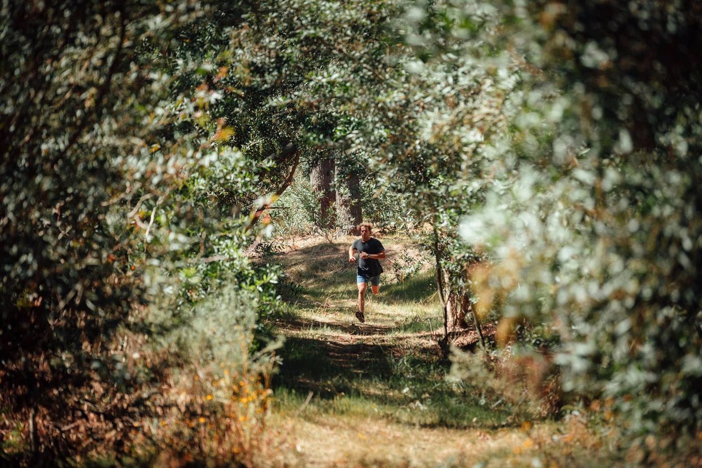 Un corredor por un sendero entre los árboles