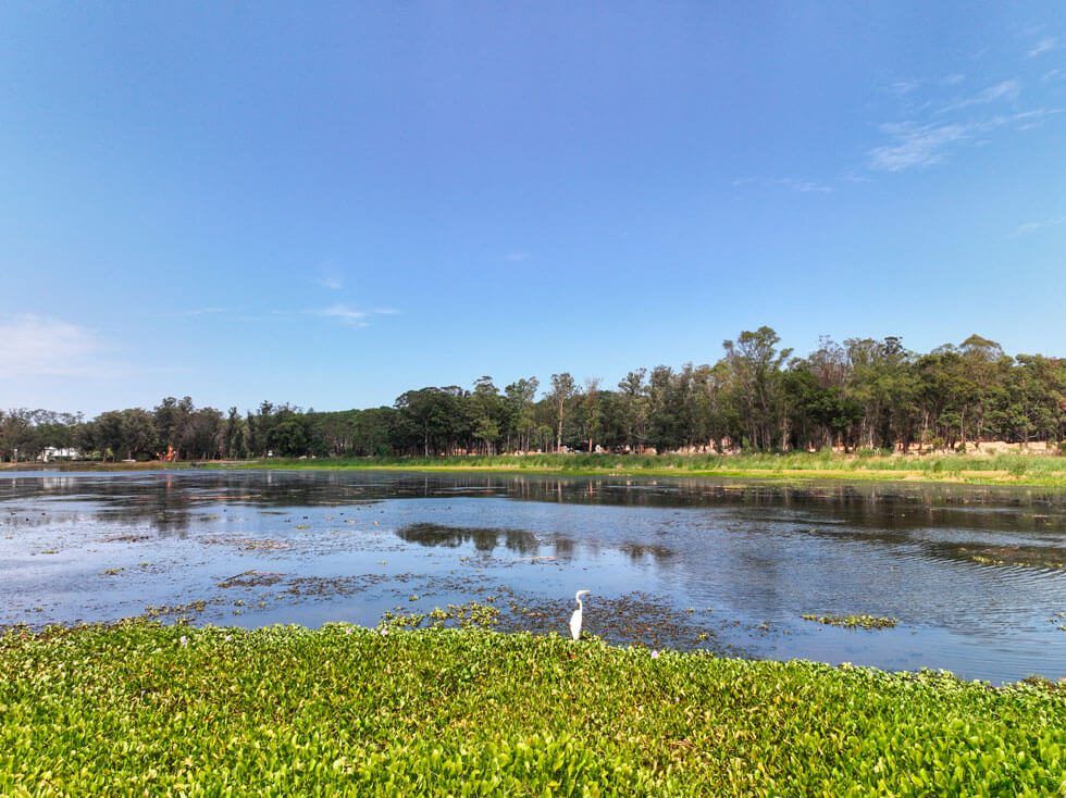 Surroundings of Reserva Montoya in Montoya