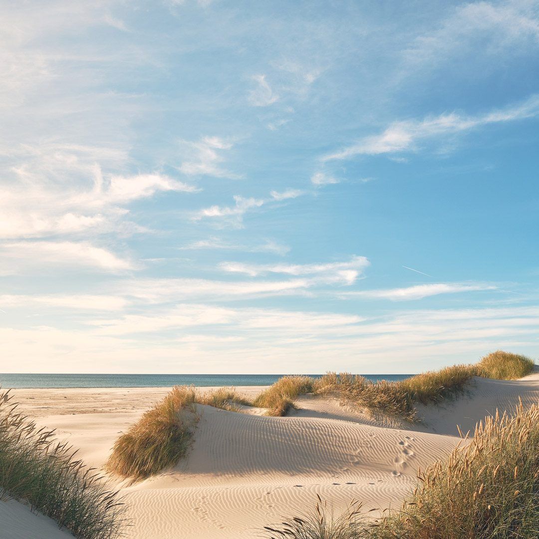 Playa de dunas: imagen de referencia, no del complejo