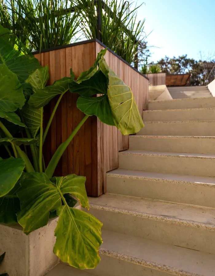 Detalle de la escalera con jardineras de madera y plantas tropicales
