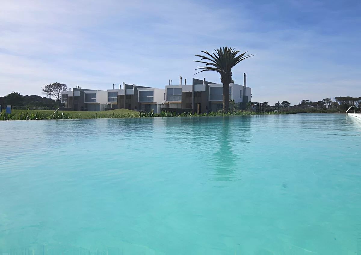 Otra toma de la misma piscina, con las casas y la palmera