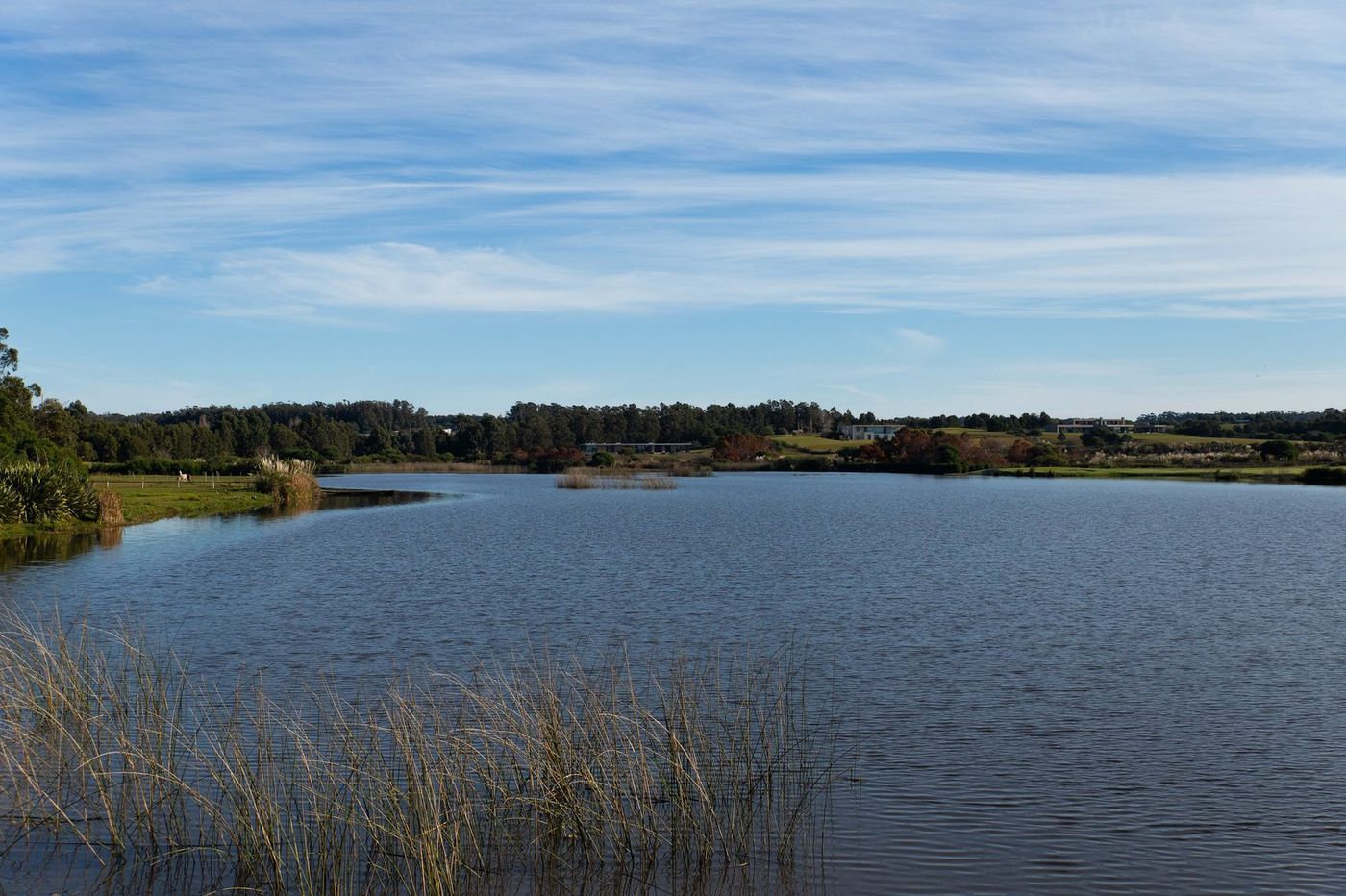 Uno de los tres lagos, con juncos y campo alrededor