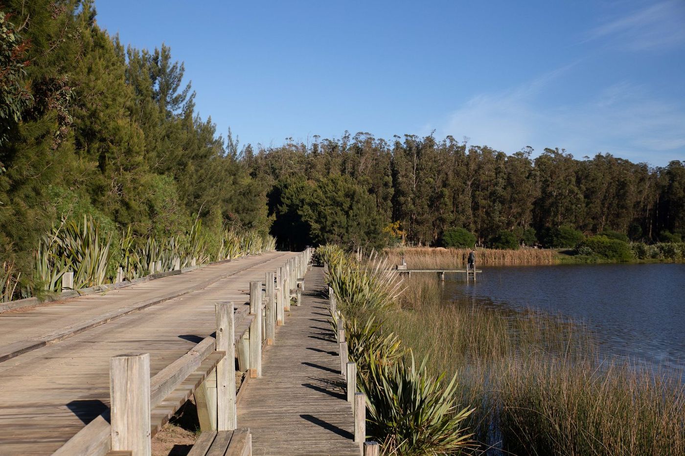 Rambla de madera bordeando el lago de Villalagos, entre vegetación nativa
