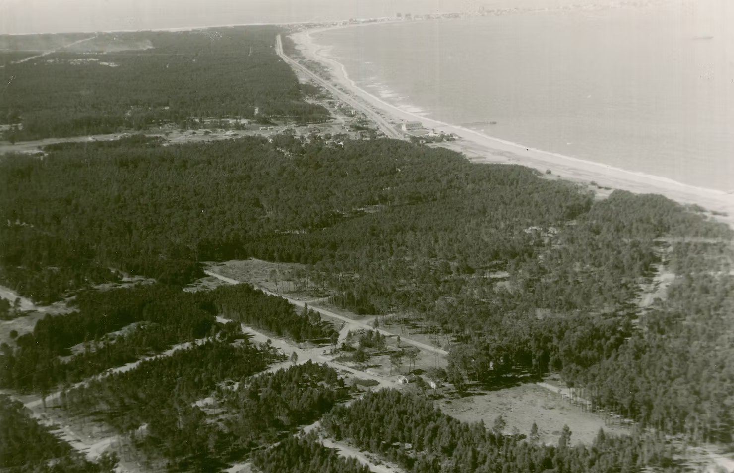 Vista aérea del bosque de Pinares en Punta del Este en los años setenta